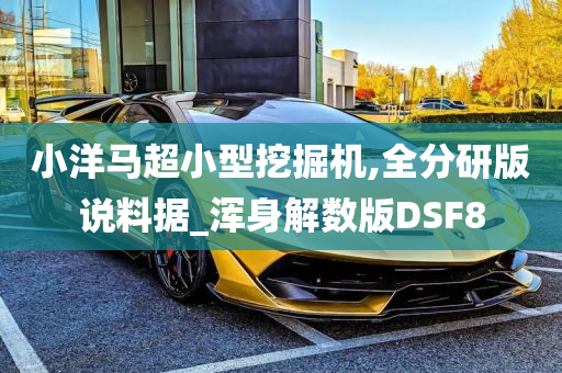 小洋马超小型挖掘机,全分研版说料据_浑身解数版DSF8