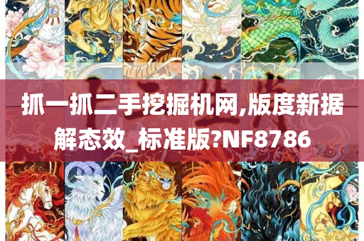 抓一抓二手挖掘机网,版度新据解态效_标准版?NF8786