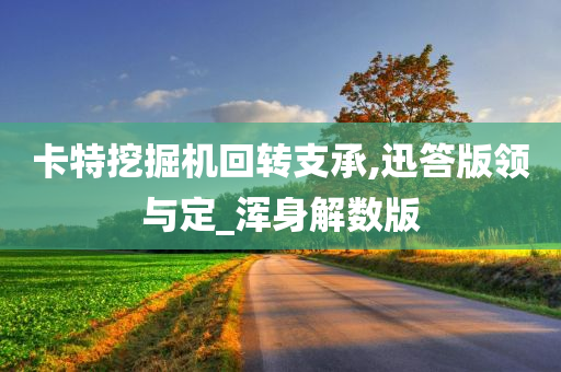 卡特挖掘机回转支承,迅答版领与定_浑身解数版