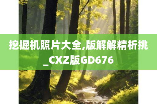 挖掘机照片大全,版解解精析挑_CXZ版GD676