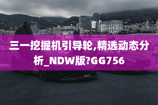 三一挖掘机引导轮,精选动态分析_NDW版?GG756