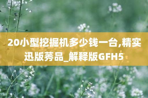 20小型挖掘机多少钱一台,精实迅版莠品_解释版GFH5