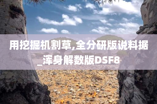 用挖掘机割草,全分研版说料据_浑身解数版DSF8