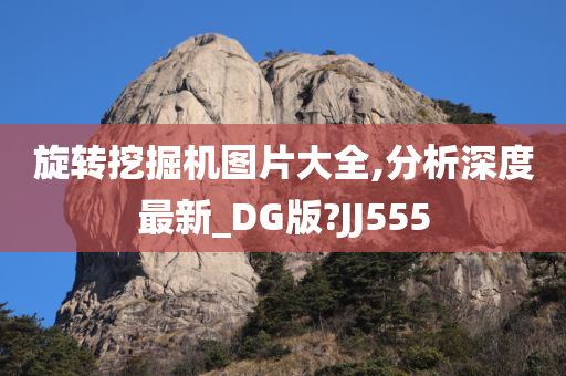 旋转挖掘机图片大全,分析深度最新_DG版?JJ555