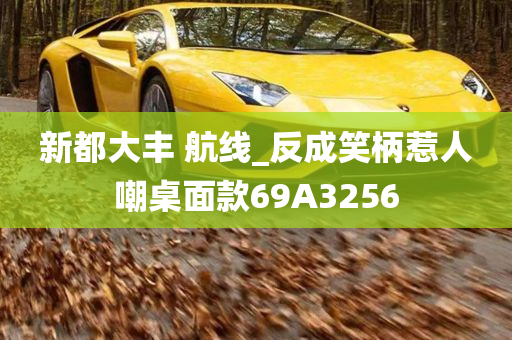 新都大丰 航线_反成笑柄惹人嘲桌面款69A3256