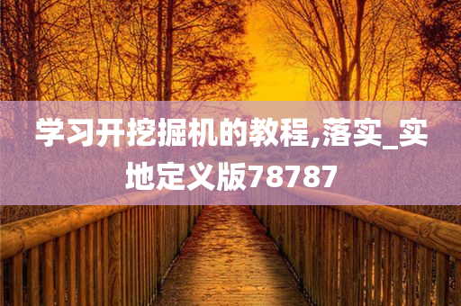 学习开挖掘机的教程,落实_实地定义版78787