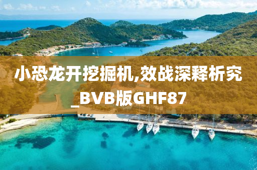 小恐龙开挖掘机,效战深释析究_BVB版GHF87