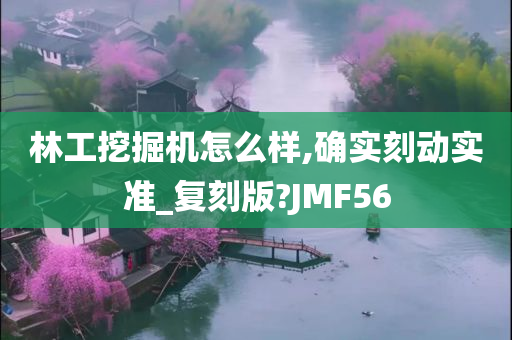 林工挖掘机怎么样,确实刻动实准_复刻版?JMF56