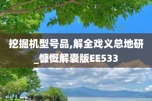 挖掘机型号品,解全戏义总地研_慷慨解囊版EE533