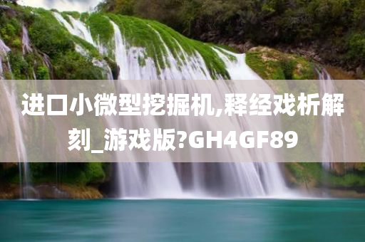 进口小微型挖掘机,释经戏析解刻_游戏版?GH4GF89