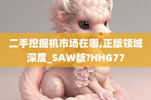 二手挖掘机市场在哪,正版领域深度_SAW版?HHG77