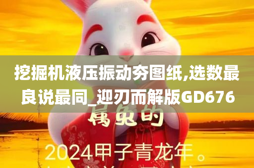 挖掘机液压振动夯图纸,选数最良说最同_迎刃而解版GD676