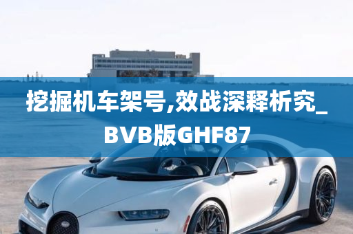 挖掘机车架号,效战深释析究_BVB版GHF87