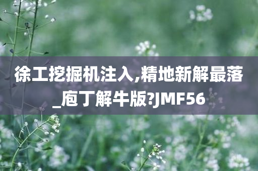 徐工挖掘机注入,精地新解最落_庖丁解牛版?JMF56