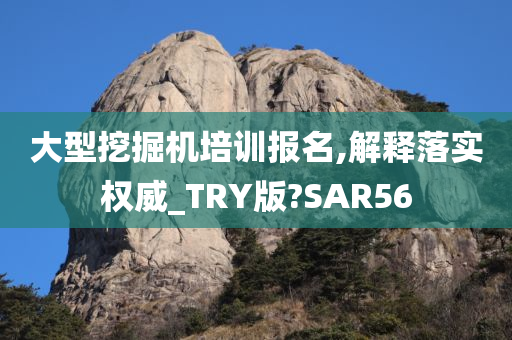 大型挖掘机培训报名,解释落实权威_TRY版?SAR56