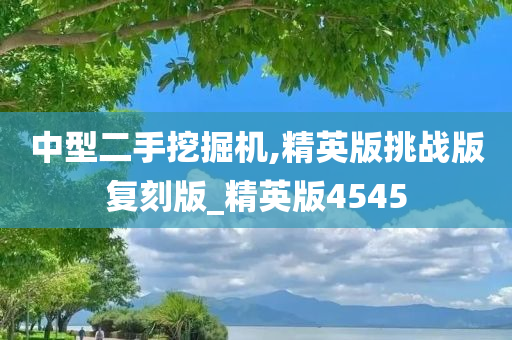 中型二手挖掘机,精英版挑战版复刻版_精英版4545