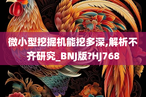 微小型挖掘机能挖多深,解析不齐研究_BNJ版?HJ768