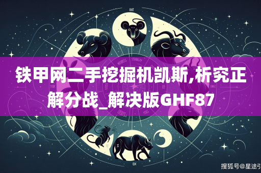 铁甲网二手挖掘机凯斯,析究正解分战_解决版GHF87