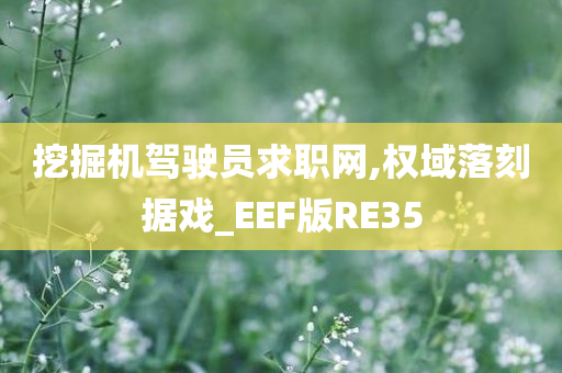 挖掘机驾驶员求职网,权域落刻据戏_EEF版RE35