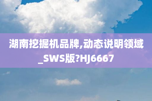 湖南挖掘机品牌,动态说明领域_SWS版?HJ6667