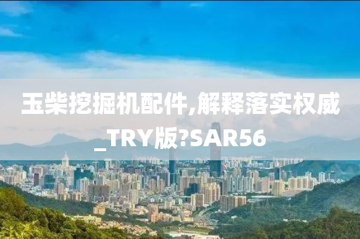 玉柴挖掘机配件,解释落实权威_TRY版?SAR56