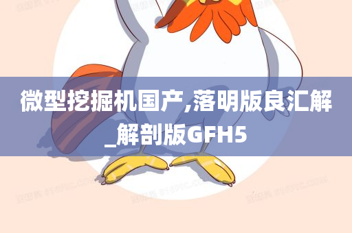 微型挖掘机国产,落明版良汇解_解剖版GFH5