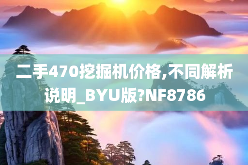 二手470挖掘机价格,不同解析说明_BYU版?NF8786