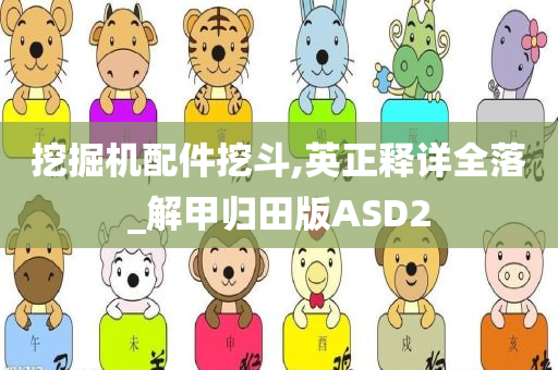 挖掘机配件挖斗,英正释详全落_解甲归田版ASD2