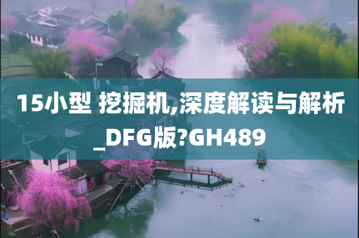 15小型 挖掘机,深度解读与解析_DFG版?GH489