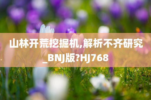 山林开荒挖掘机,解析不齐研究_BNJ版?HJ768