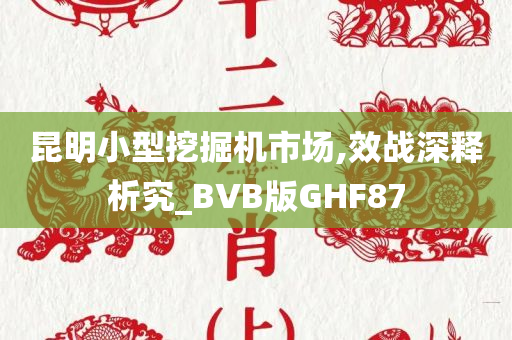 昆明小型挖掘机市场,效战深释析究_BVB版GHF87