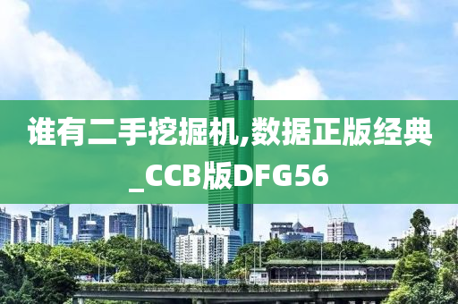 谁有二手挖掘机,数据正版经典_CCB版DFG56