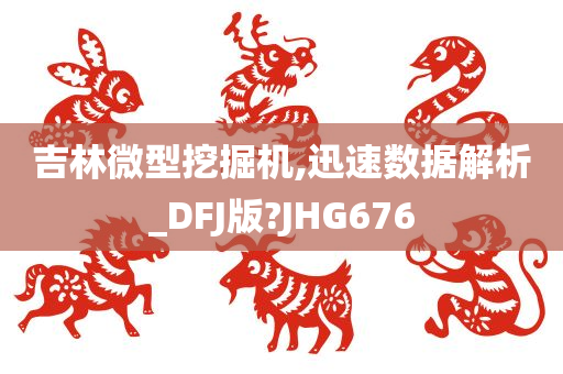 吉林微型挖掘机,迅速数据解析_DFJ版?JHG676