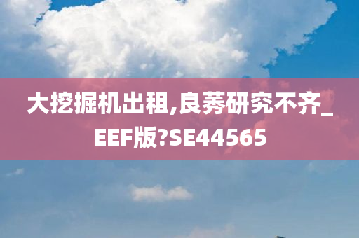 大挖掘机出租,良莠研究不齐_EEF版?SE44565