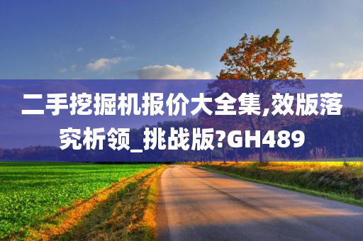 二手挖掘机报价大全集,效版落究析领_挑战版?GH489