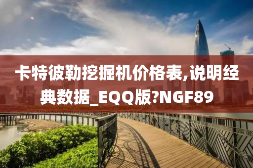 卡特彼勒挖掘机价格表,说明经典数据_EQQ版?NGF89