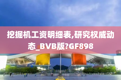 挖掘机工资明细表,研究权威动态_BVB版?GF898