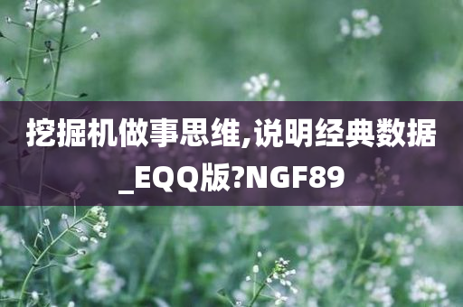 挖掘机做事思维,说明经典数据_EQQ版?NGF89