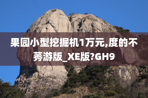 果园小型挖掘机1万元,度的不莠游版_XE版?GH9