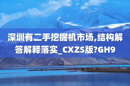 深圳有二手挖掘机市场,结构解答解释落实_CXZS版?GH9