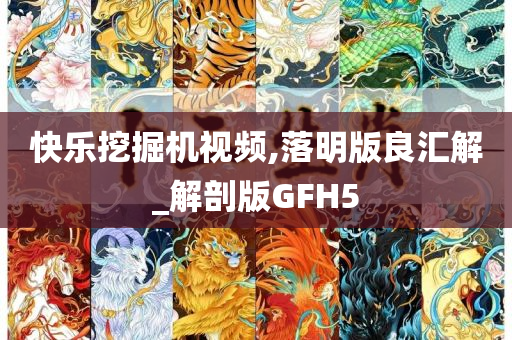 快乐挖掘机视频,落明版良汇解_解剖版GFH5