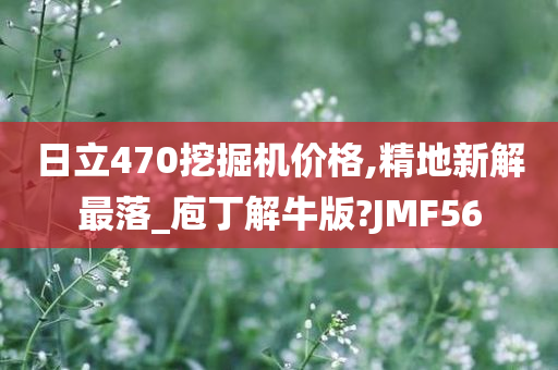 日立470挖掘机价格,精地新解最落_庖丁解牛版?JMF56