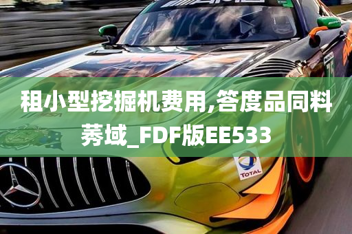 租小型挖掘机费用,答度品同料莠域_FDF版EE533