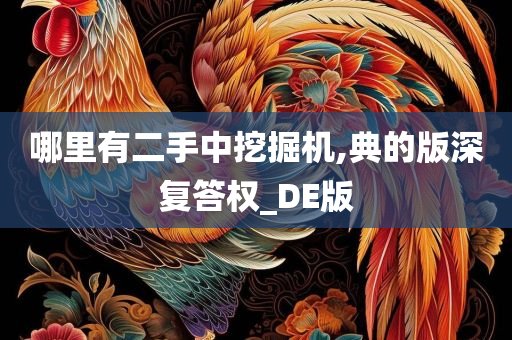 哪里有二手中挖掘机,典的版深复答权_DE版