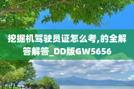 挖掘机驾驶员证怎么考,的全解答解答_DD版GW5656