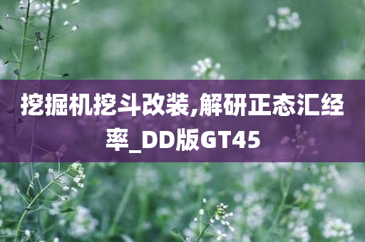 挖掘机挖斗改装,解研正态汇经率_DD版GT45