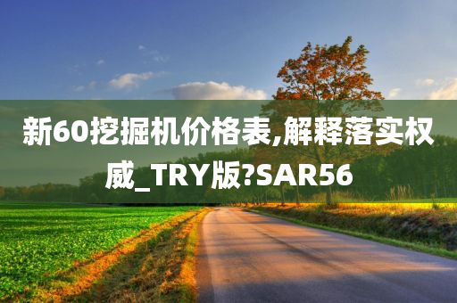 新60挖掘机价格表,解释落实权威_TRY版?SAR56