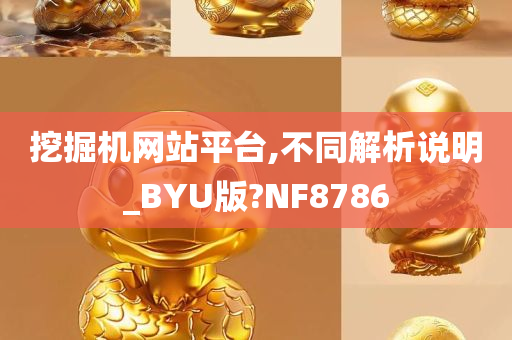 挖掘机网站平台,不同解析说明_BYU版?NF8786