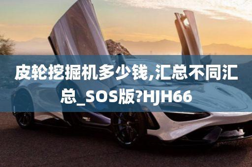 皮轮挖掘机多少钱,汇总不同汇总_SOS版?HJH66