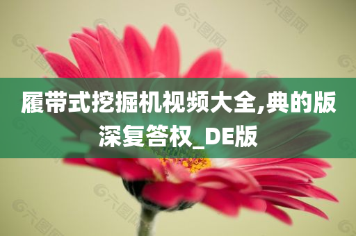 履带式挖掘机视频大全,典的版深复答权_DE版